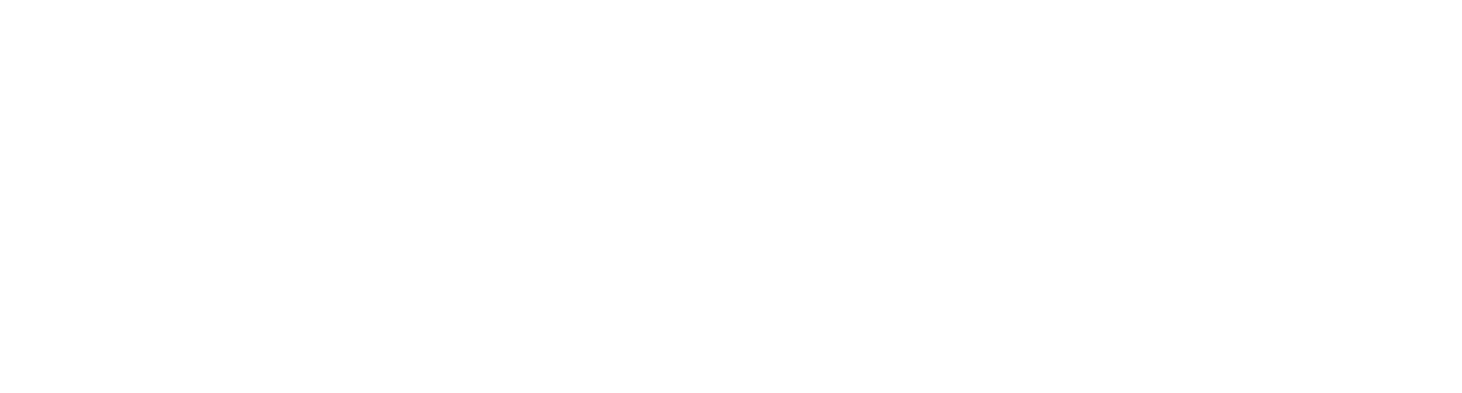 logo physinums remote data monitoring